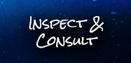 Inspect and Consult